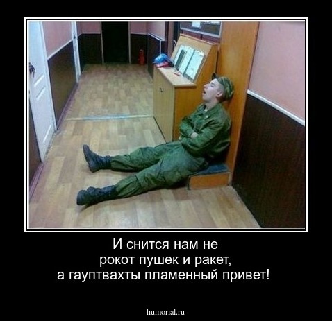 И снится нам не рокот пушек и ракет, а гауптвахты пламенный привет! 