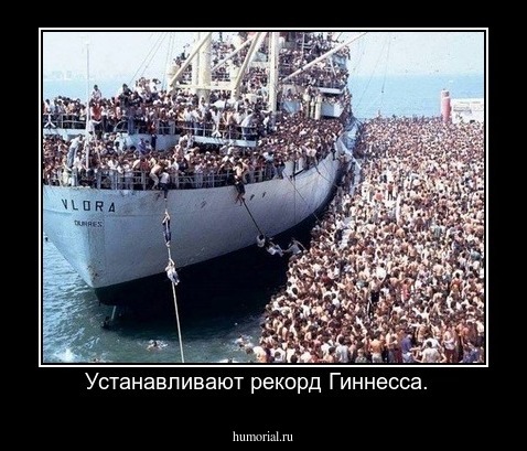 Устанавливают рекорд Гиннесса.  