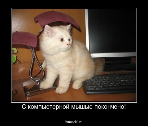 С компьютерной мышью покончено!