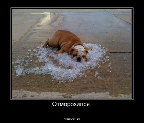 Отморозился 