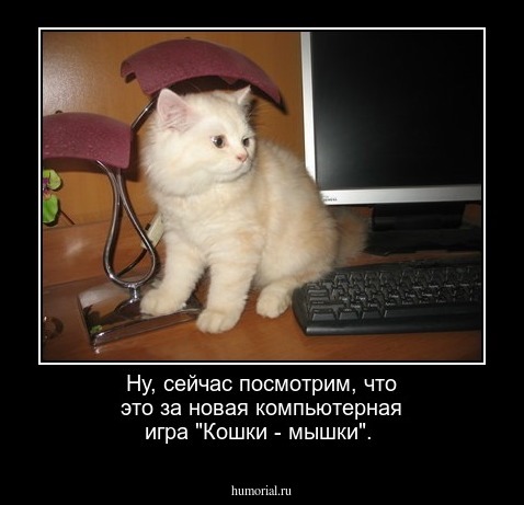 Ну, сейчас посмотрим, что это за новая компьютерная игра "Кошки - мышки".