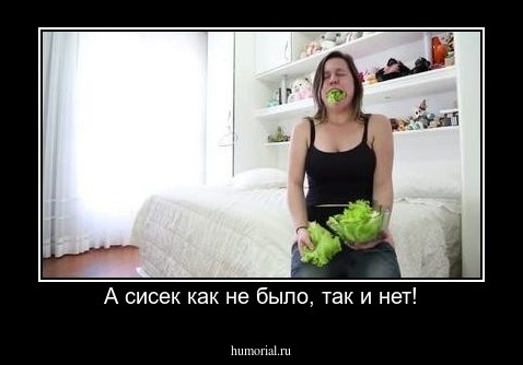 А сисек как не было, так и нет!