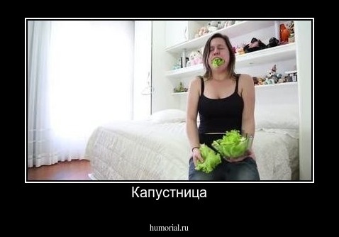 Капустница
