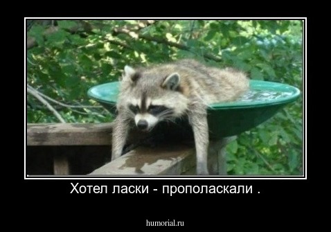 Хотел ласки - прополаскали .