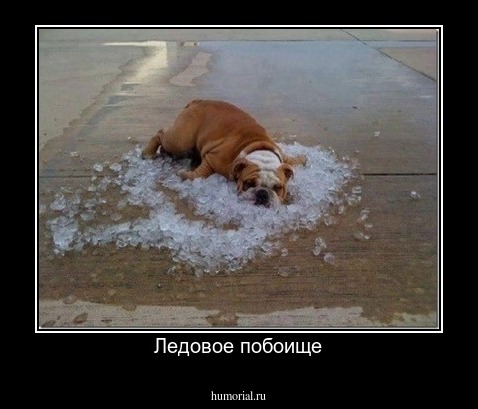 Ледовое побоище