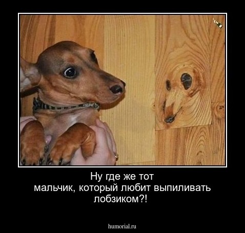 Ну где же тот мальчик, который любит выпиливать лобзиком?!