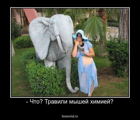- Что? Травили мышей химией?