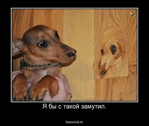 Я бы с такой замутил.