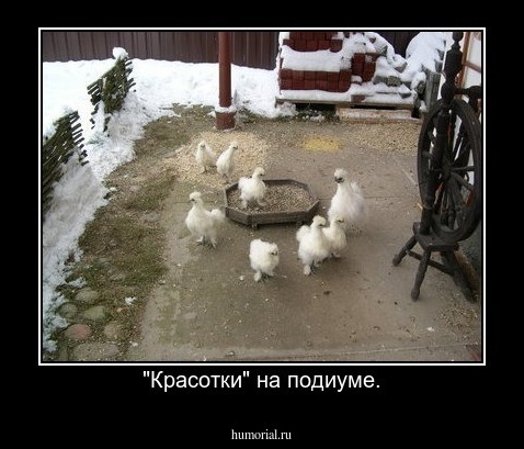 "Красотки" на подиуме.