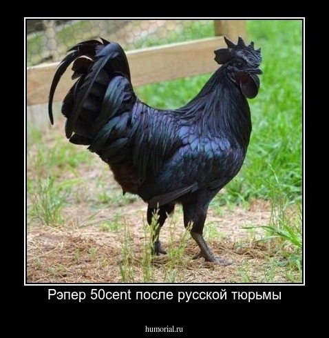Рэпер 50cent после русской тюрьмы