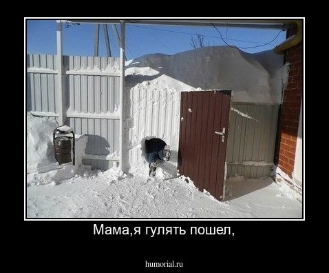 Мама,я гулять пошел,