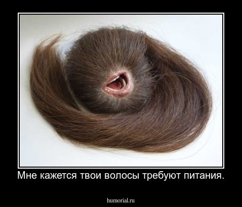 Мне кажется твои волосы требуют питания.