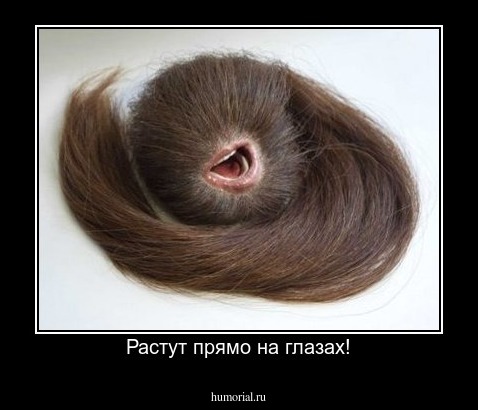 Растут прямо на глазах!