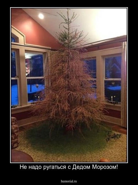 Не надо ругаться с Дедом Морозом!