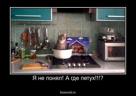Я не понял! А где петух!!!?