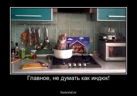 Главное, не думать как индюк!