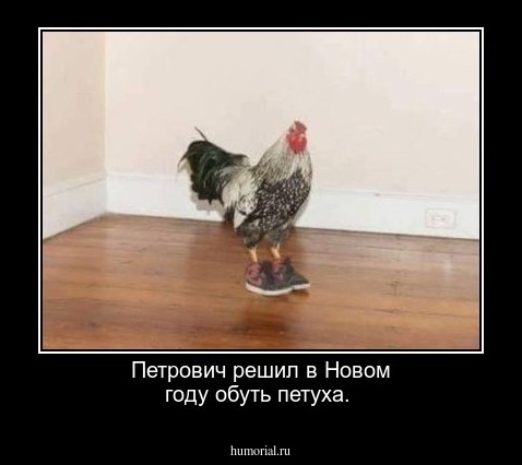 Петрович решил в Новом году обуть петуха.