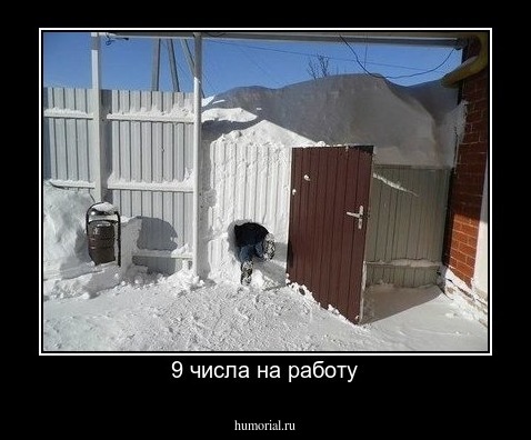 9 числа на работу