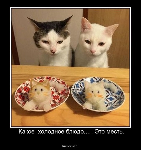 -Какое  холодное блюдо....- Это месть.