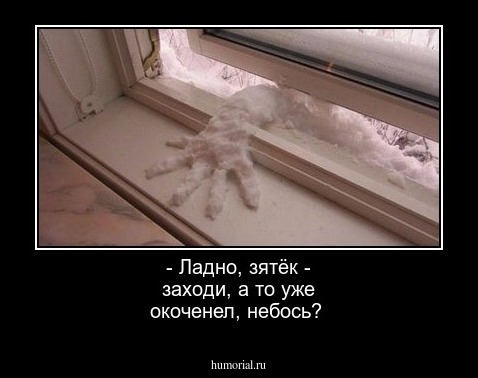 - Ладно, зятёк - заходи, а то уже окоченел, небось?
