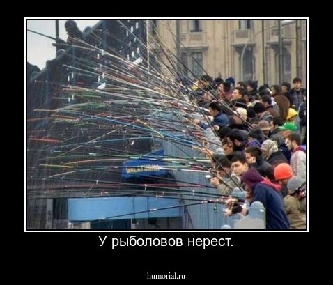 У рыболовов нерест, блёсны мечут.