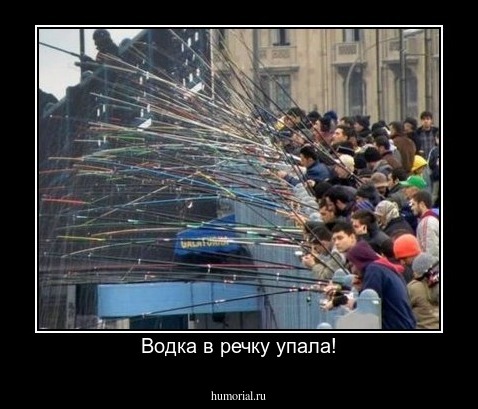 Водка в речку упала!