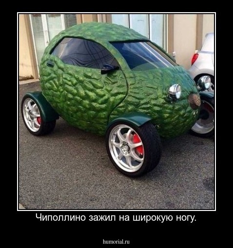Чиполлино зажил на широкую ногу.