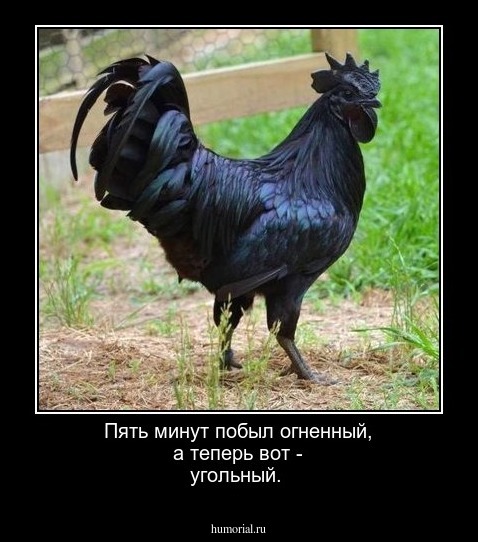 Пять минут побыл огненный, а теперь вот - угольный.