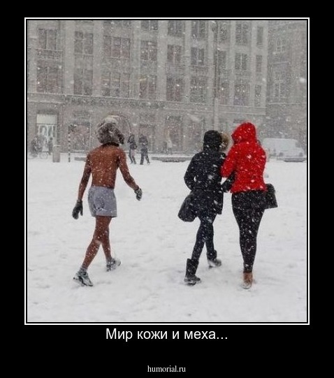 Мир кожи и меха...