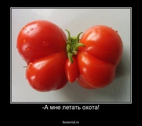 -А мне летать охота!