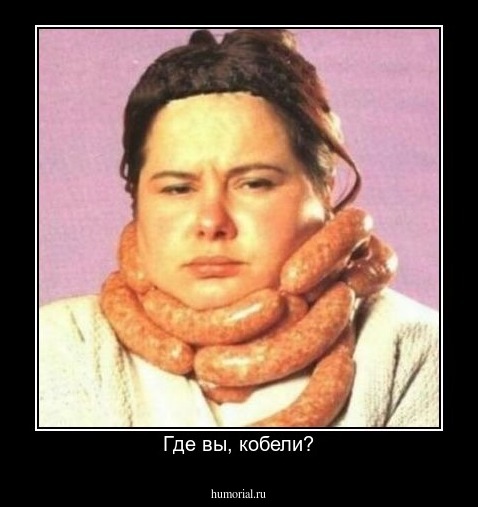Где вы, кобели?