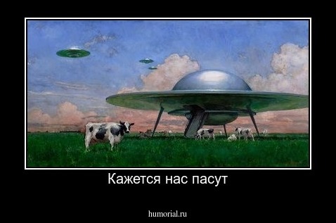 Кажется нас пасут