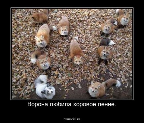 Ворона любила хоровое пение.