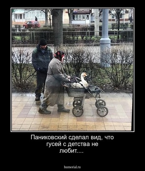 Паниковский сделал вид, что гусей с детства не любит.... 