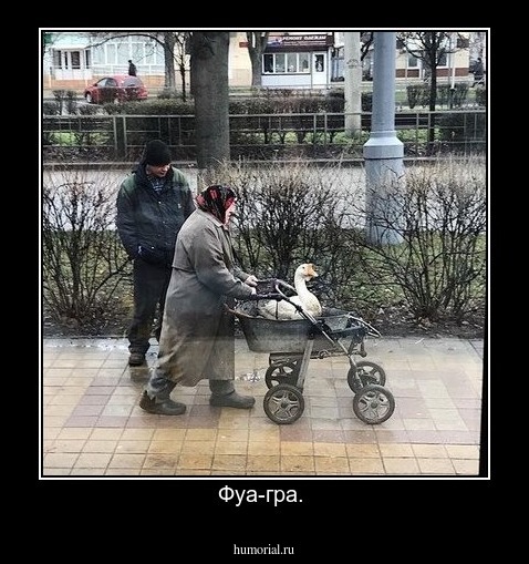 Фуа-гра. 