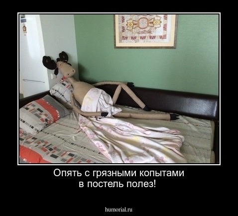 Опять с грязными копытами в постель полез!