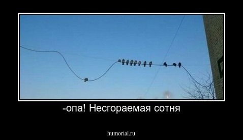-опа! Несгораемая сотня