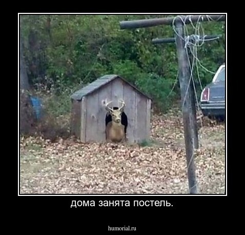 дома занята постель.