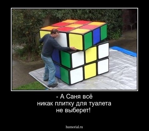 - А Саня всё никак плитку для туалета не выберет!