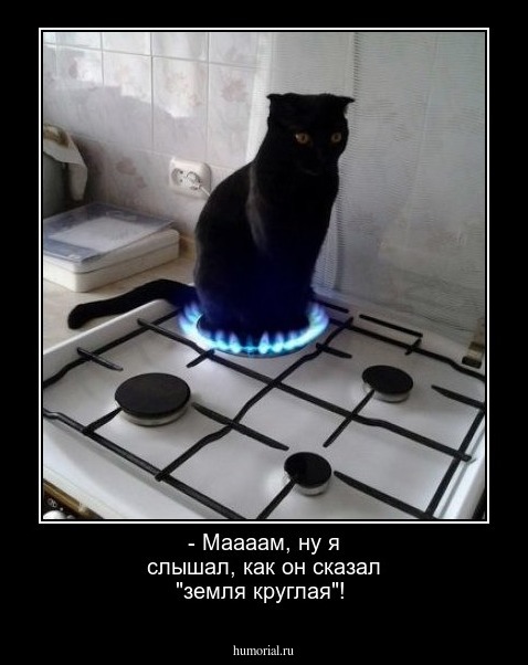- Маааам, ну я слышал, как он сказал "земля круглая"!
