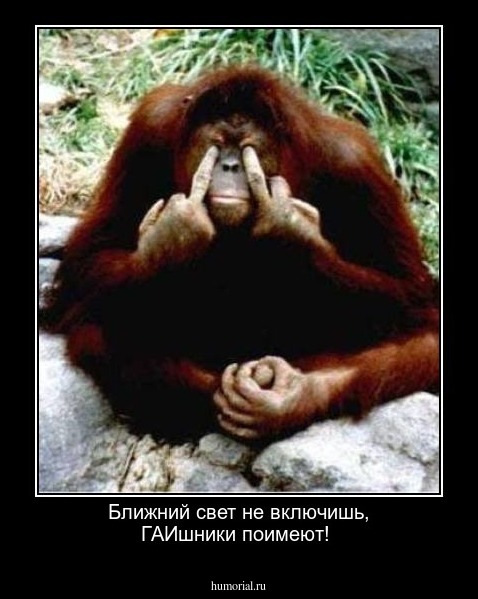 Ближний свет не включишь, ГАИшники поимеют!