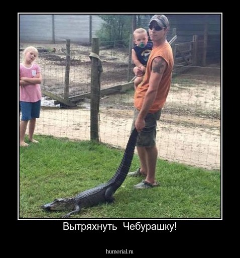 Вытряхнуть  Чебурашку!