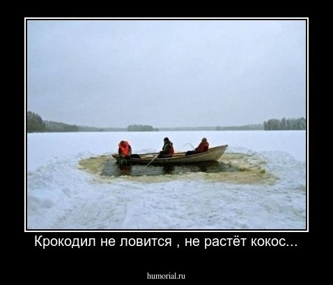 Крокодил не ловится , не растёт кокос...
