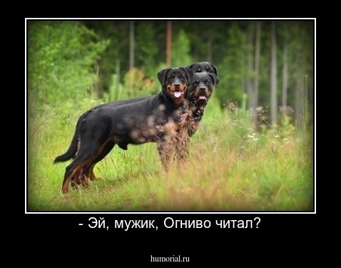 - Эй, мужик, Огниво читал?