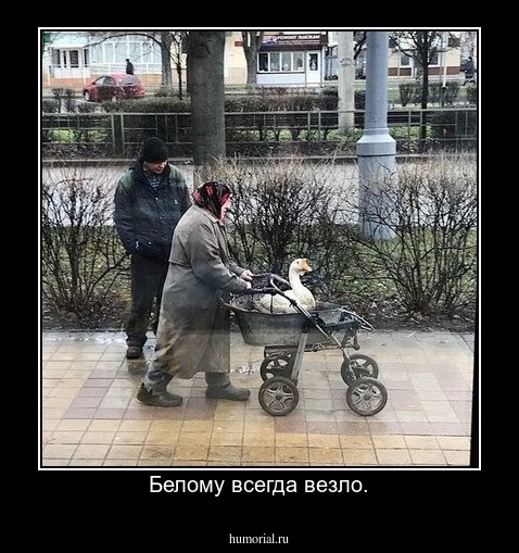 Белому всегда везло.