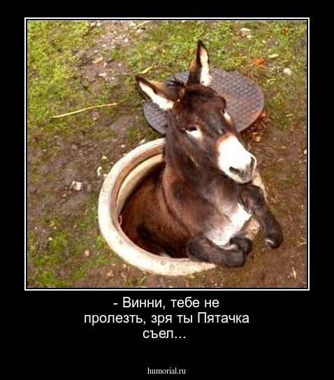 - Винни, тебе не пролезть, зря ты Пятачка съел...