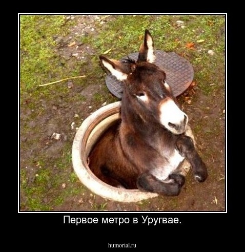 Первое метро в Уругвае.