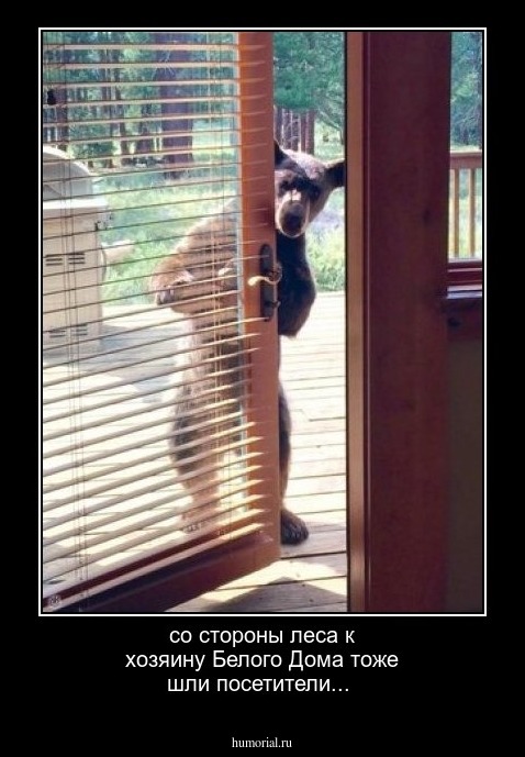 со стороны леса к хозяину Белого Дома тоже шли посетители...