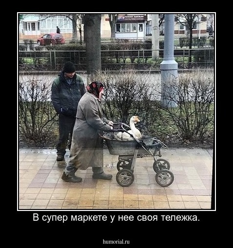 В супер маркете у нее своя тележка.