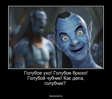 Голубое ухо! Голубое брюхо! Голубой чубчик! Как дела, голубчик?